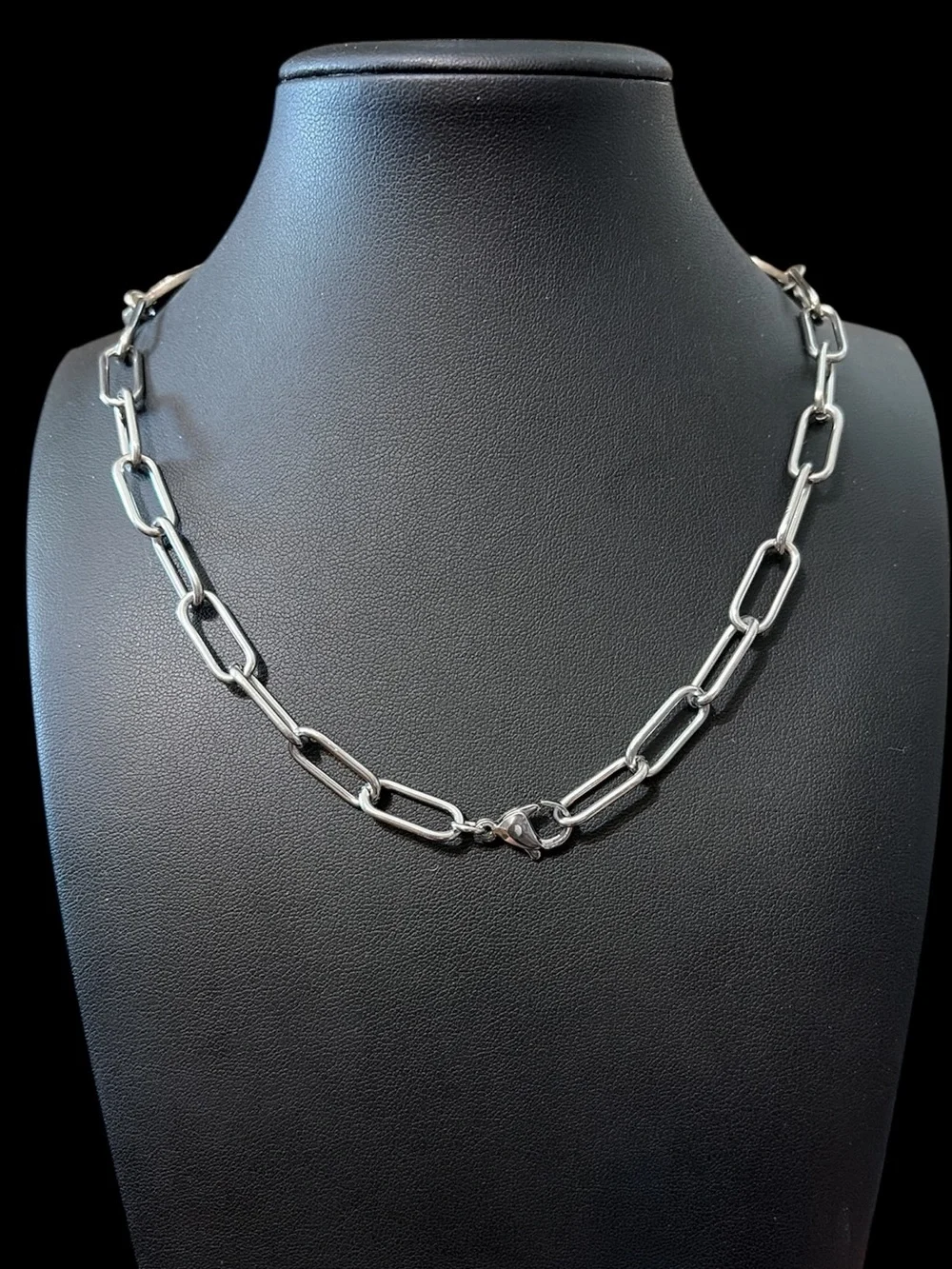 Buffalo Nickel & Stainless Choker Necklace